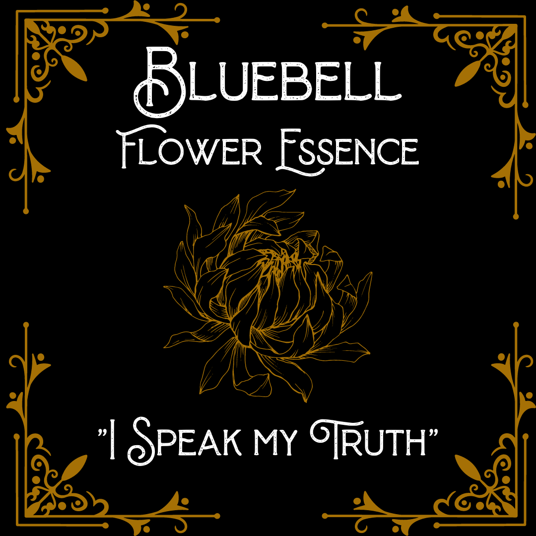 Bluebell Flower Essence || Communication || Oregon Grown