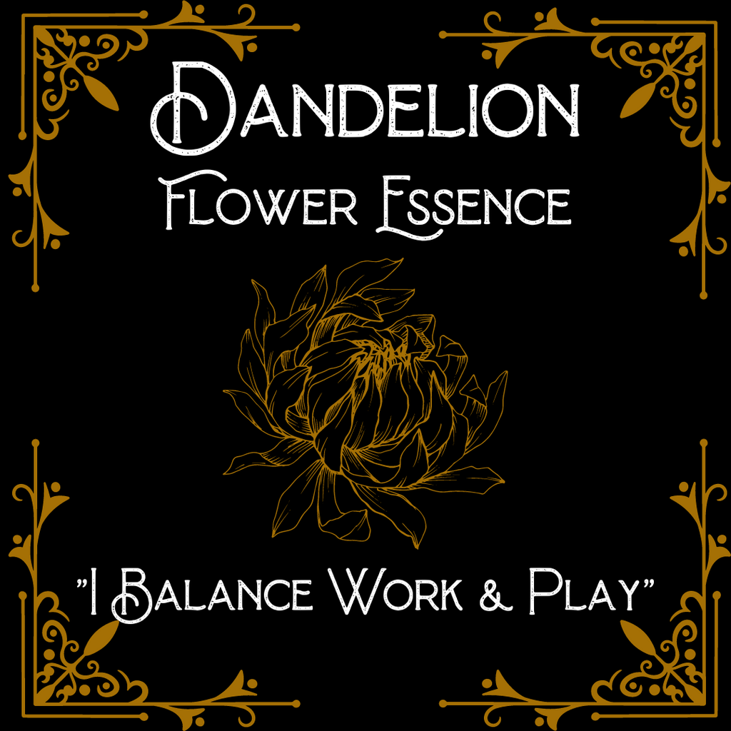 Dandelion Flower Essence || Inner Child  || Oregon Grown